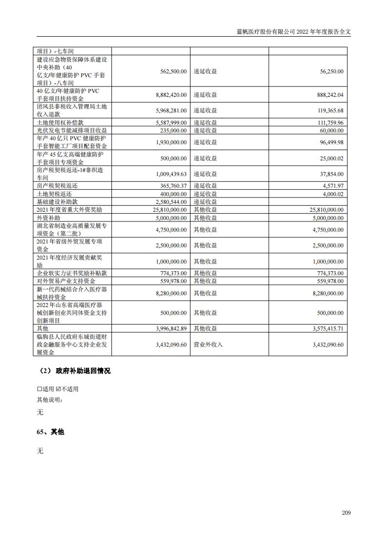 蓝帆医疗股份有限公司2022年年度报告_208