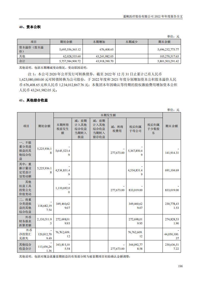 蓝帆医疗股份有限公司2022年年度报告_195