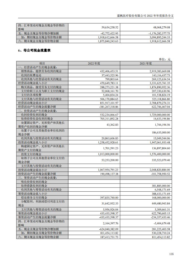 蓝帆医疗股份有限公司2022年年度报告_134