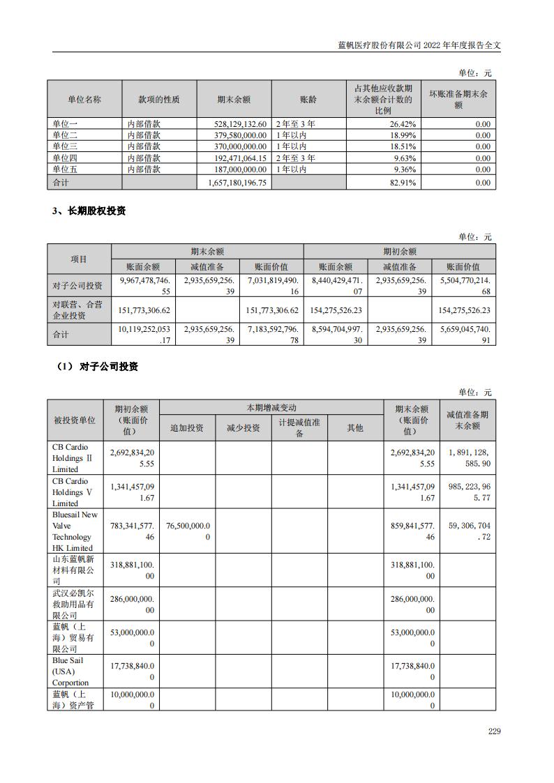 蓝帆医疗股份有限公司2022年年度报告_228