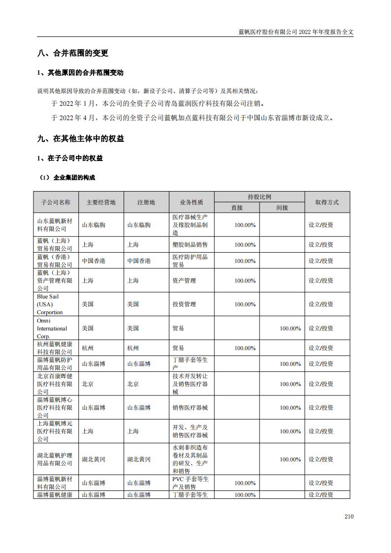 蓝帆医疗股份有限公司2022年年度报告_209