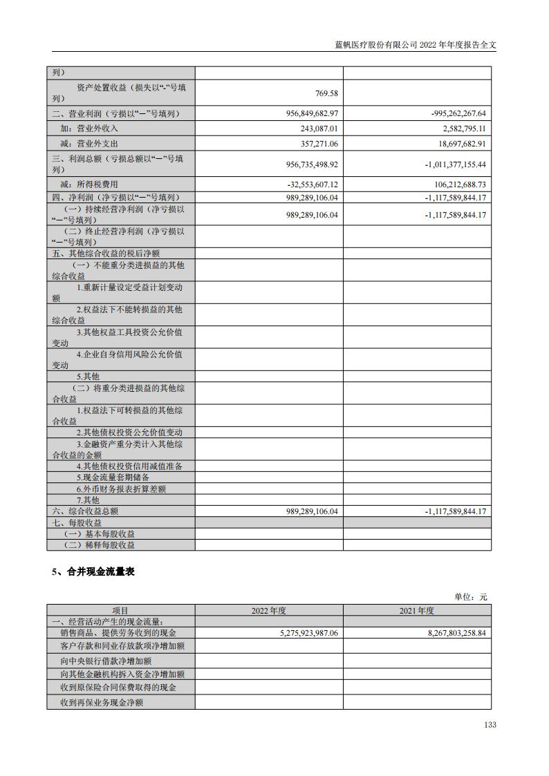 蓝帆医疗股份有限公司2022年年度报告_132