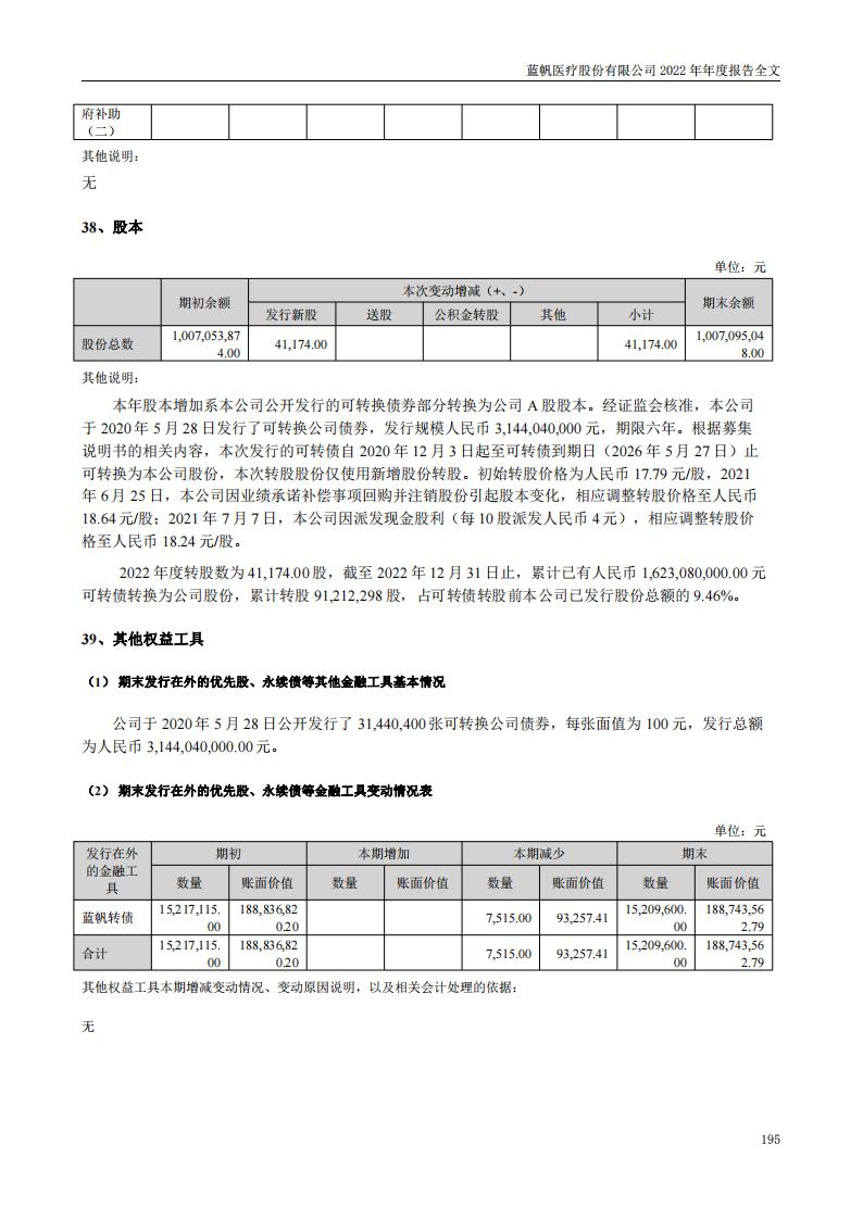 蓝帆医疗股份有限公司2022年年度报告_194