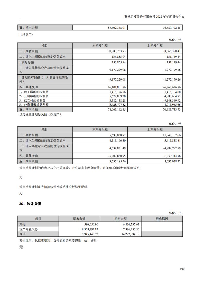 蓝帆医疗股份有限公司2022年年度报告_191