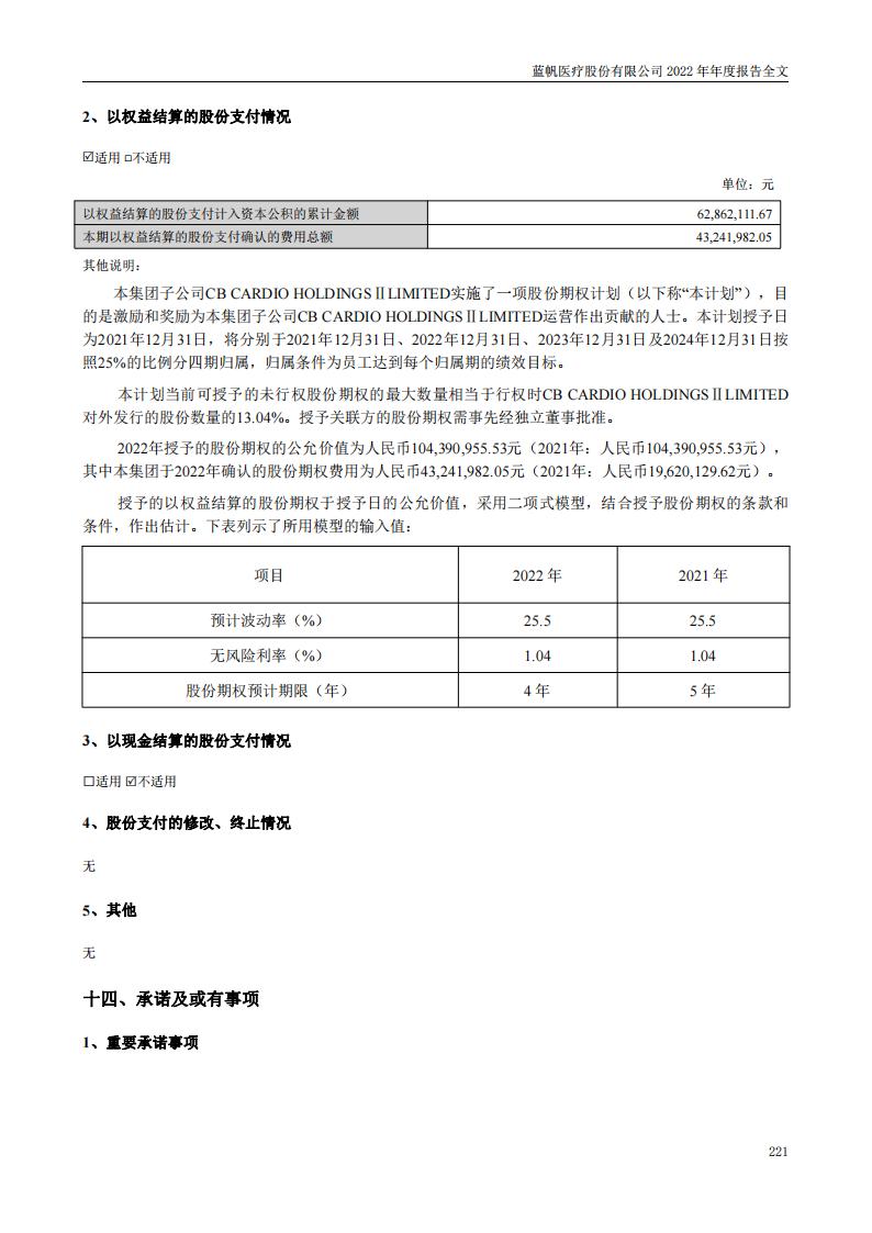 蓝帆医疗股份有限公司2022年年度报告_220