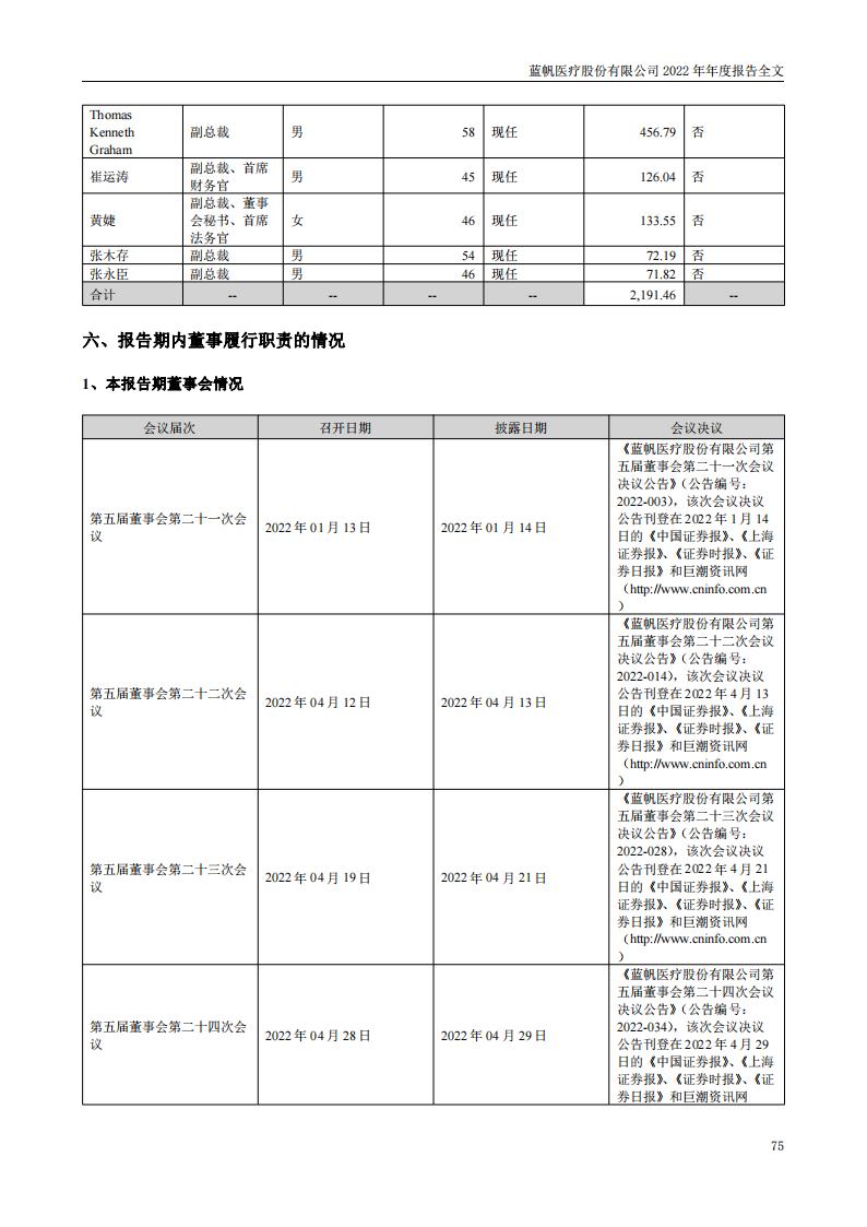 蓝帆医疗股份有限公司2022年年度报告_74