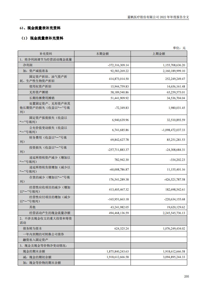 蓝帆医疗股份有限公司2022年年度报告_204