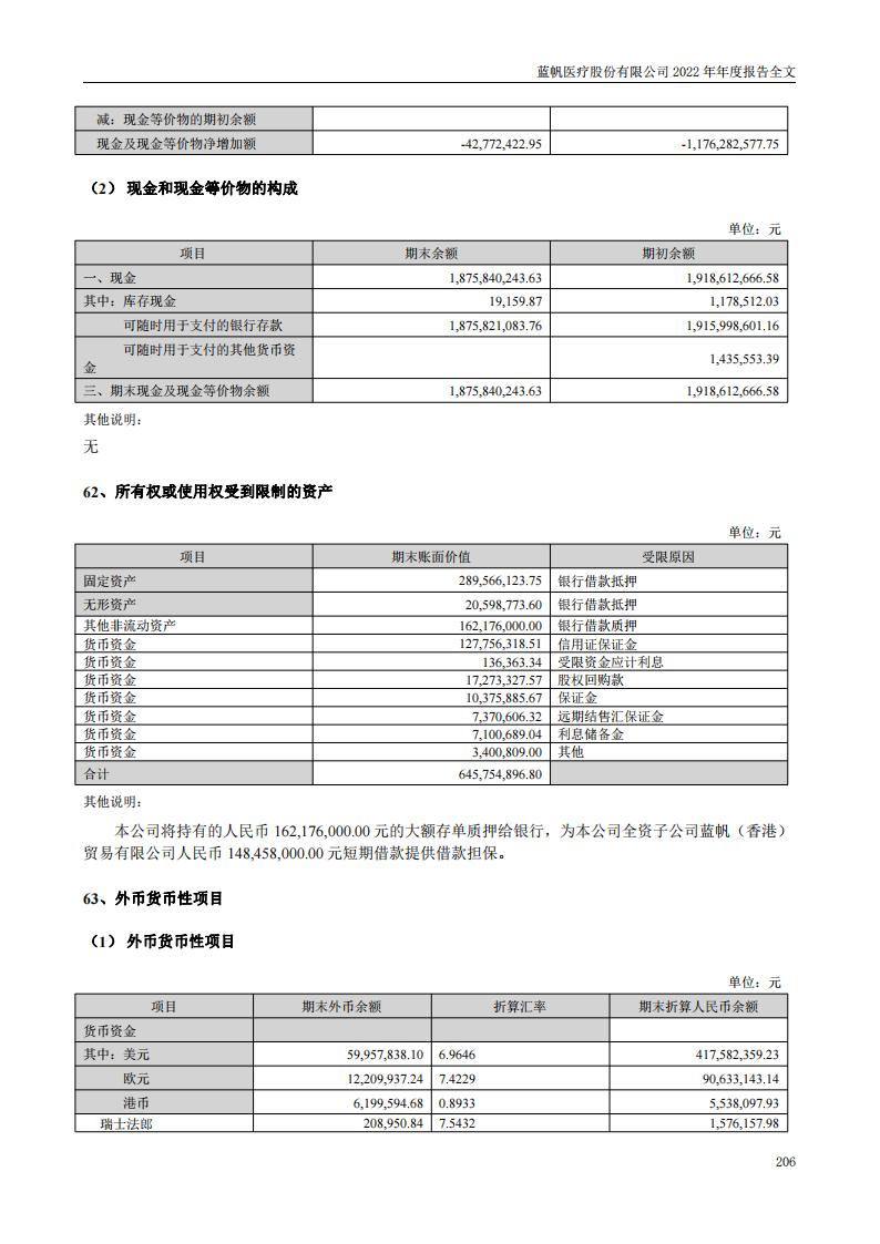 蓝帆医疗股份有限公司2022年年度报告_205