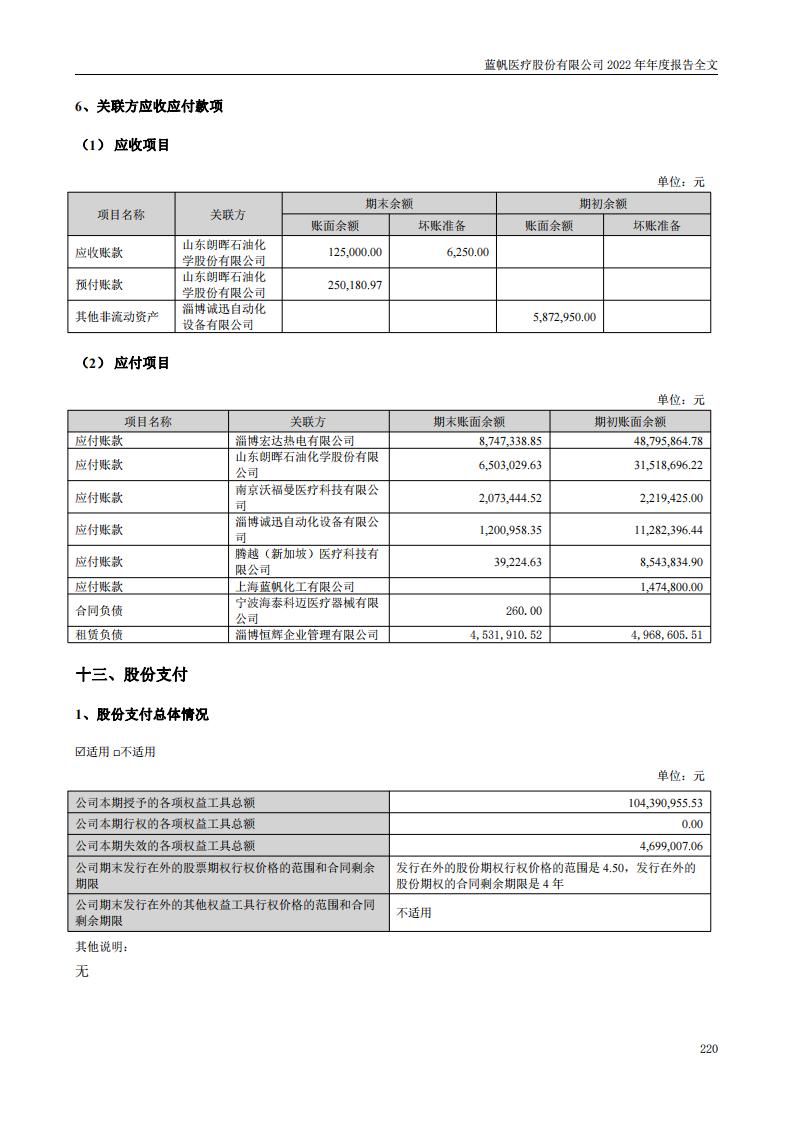 蓝帆医疗股份有限公司2022年年度报告_219