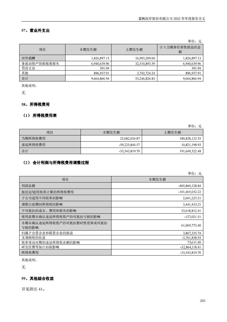 蓝帆医疗股份有限公司2022年年度报告_202