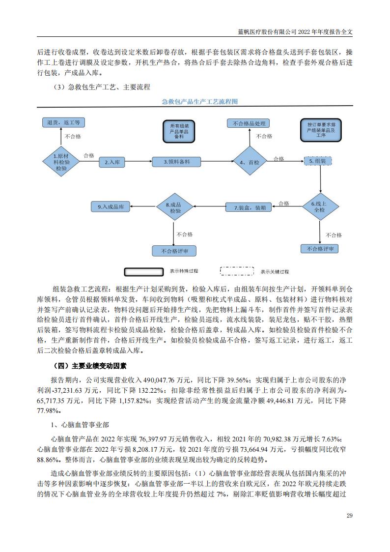 蓝帆医疗股份有限公司2022年年度报告_28