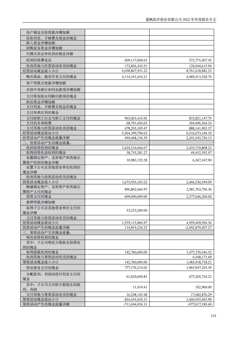 蓝帆医疗股份有限公司2022年年度报告_133