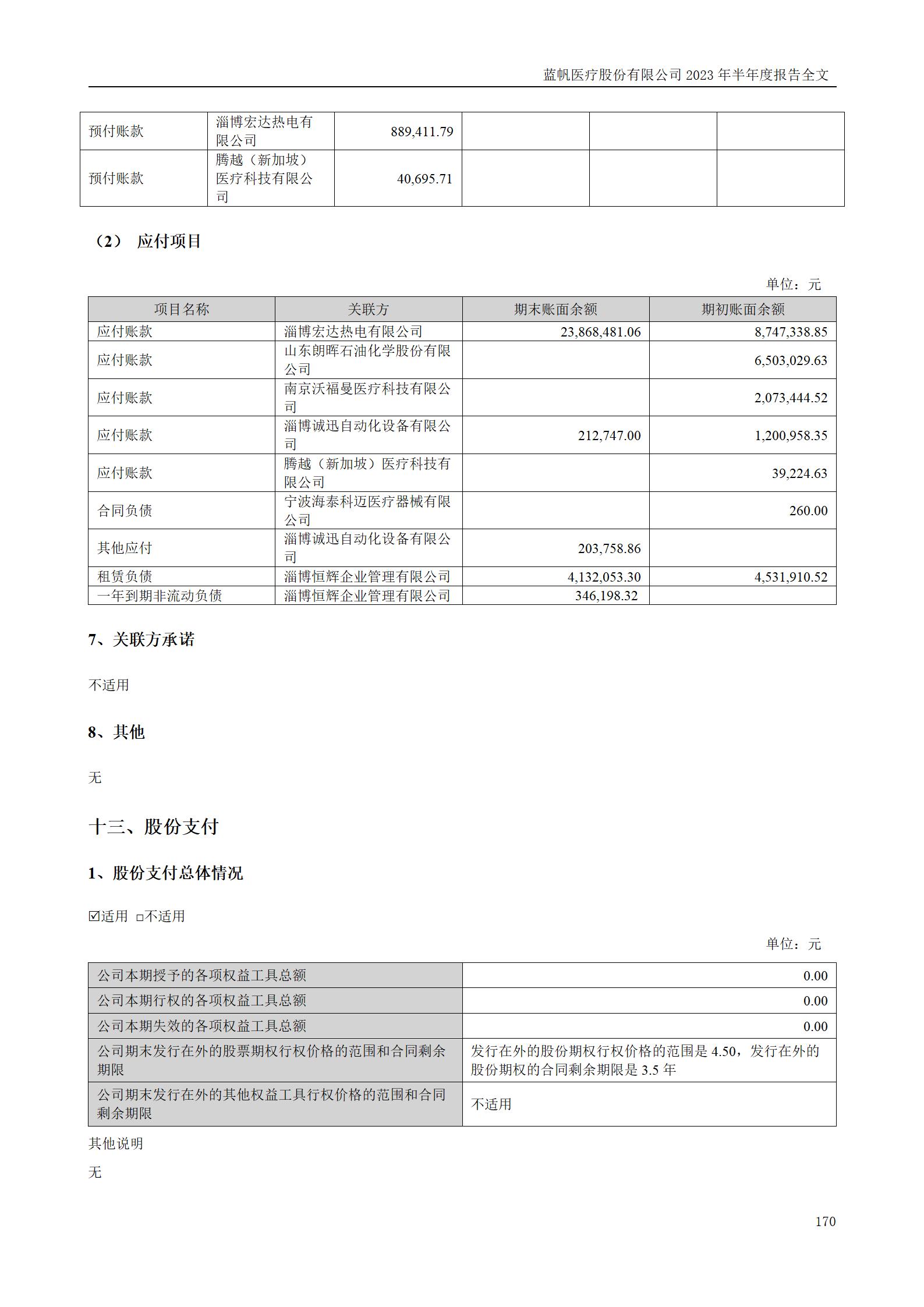 蓝帆医疗股份有限公司2023年半年度报告_170