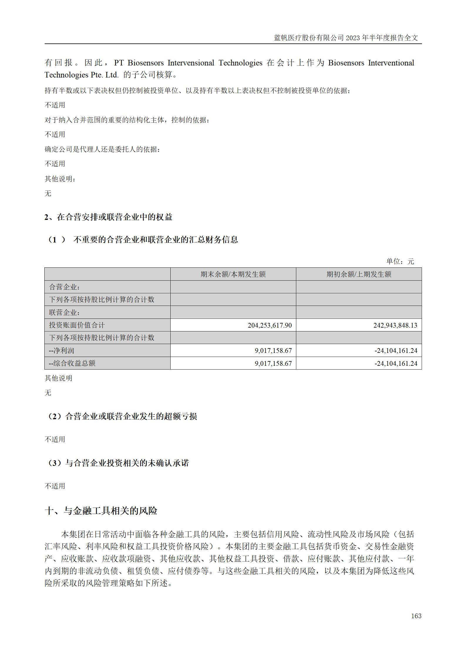 蓝帆医疗股份有限公司2023年半年度报告_163