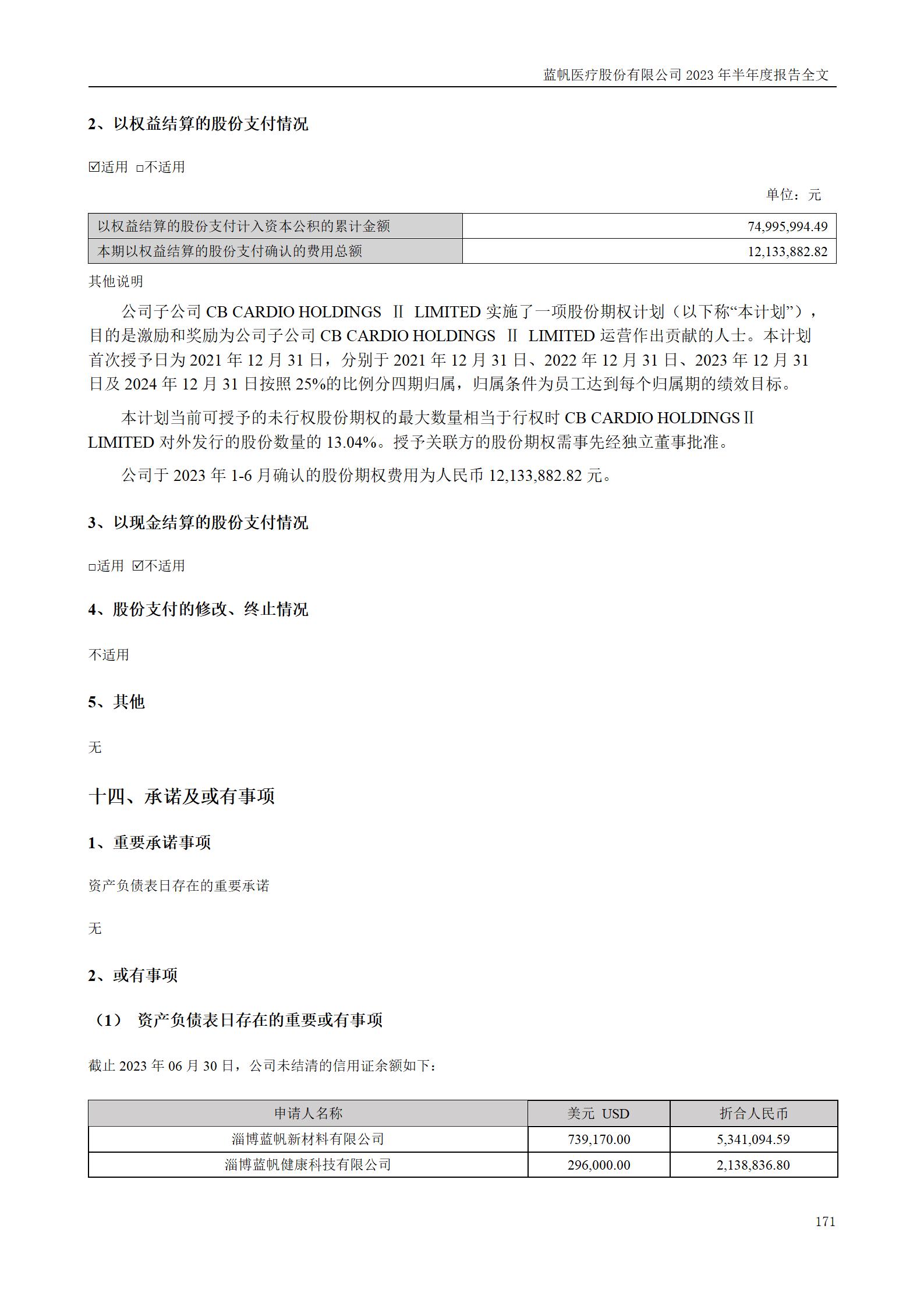 蓝帆医疗股份有限公司2023年半年度报告_171