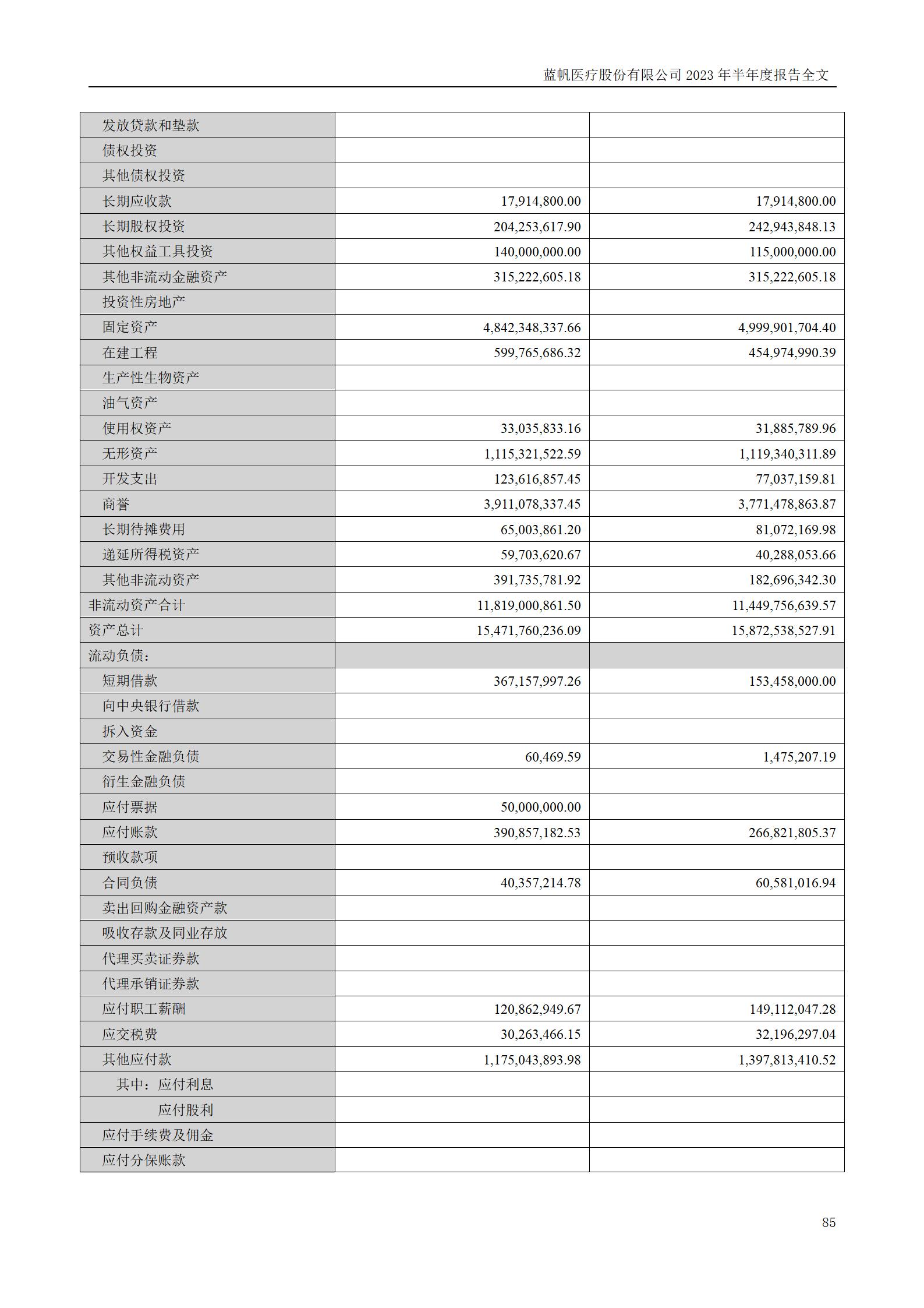 蓝帆医疗股份有限公司2023年半年度报告_85