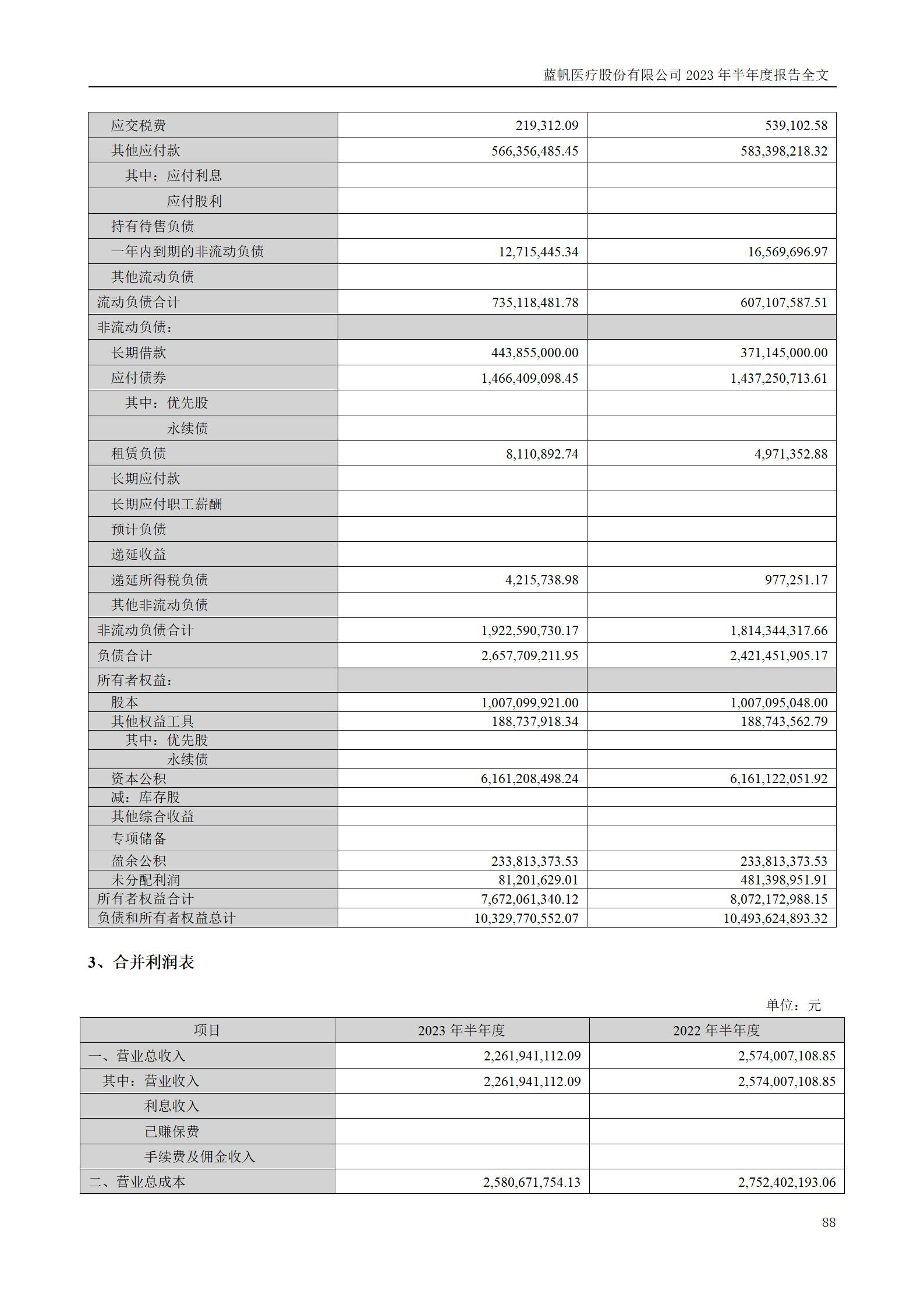 蓝帆医疗股份有限公司2023年半年度报告_88