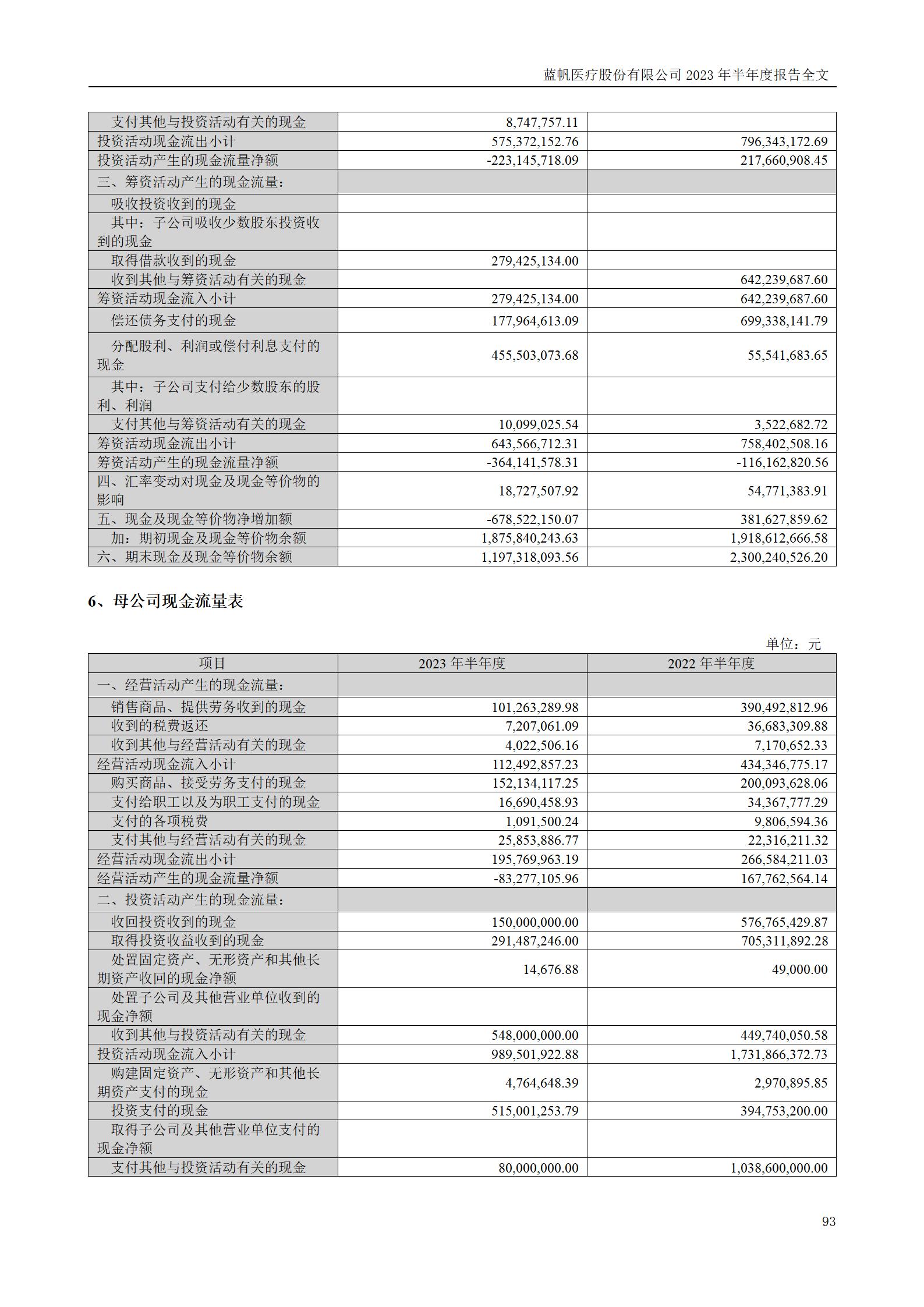 蓝帆医疗股份有限公司2023年半年度报告_93