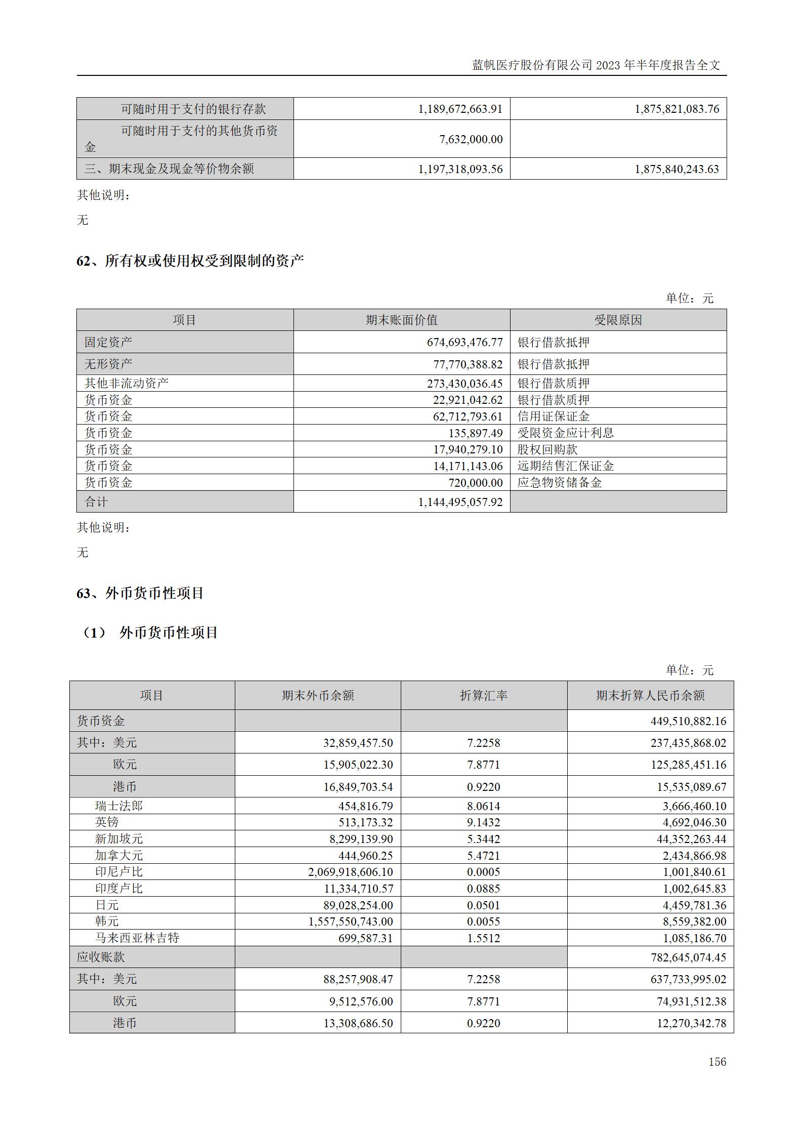 蓝帆医疗股份有限公司2023年半年度报告_156