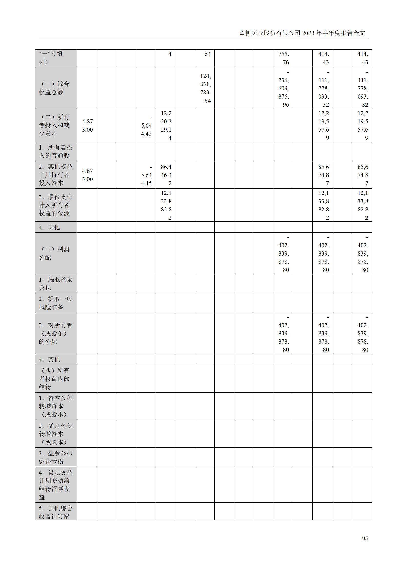 蓝帆医疗股份有限公司2023年半年度报告_95