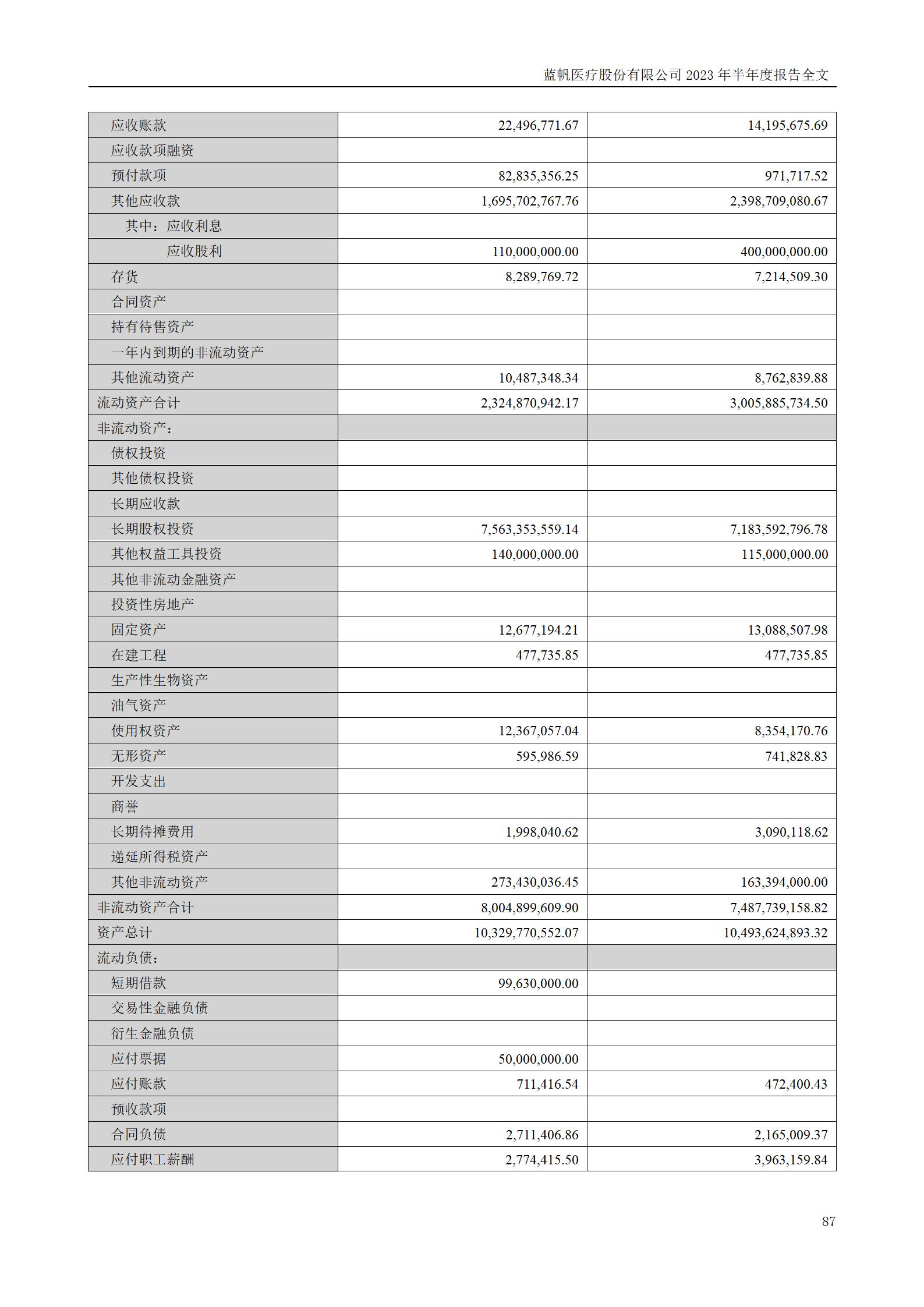 蓝帆医疗股份有限公司2023年半年度报告_87