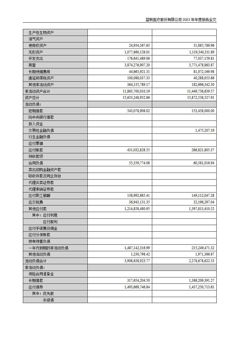 蓝帆医疗股份有限公司2023年年度报告_129