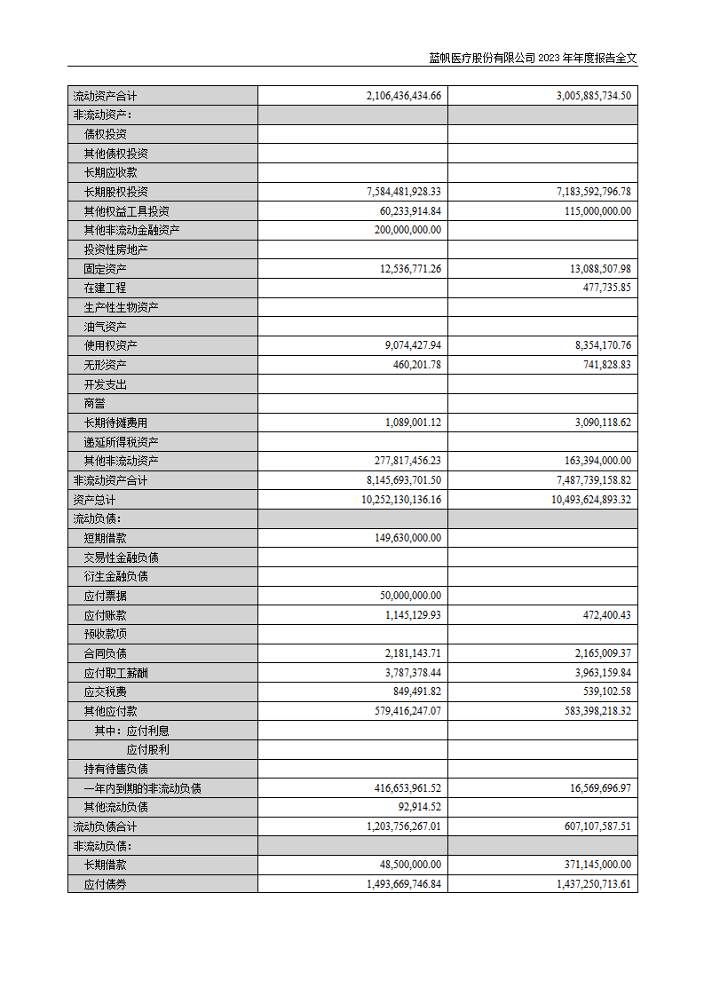 蓝帆医疗股份有限公司2023年年度报告_131