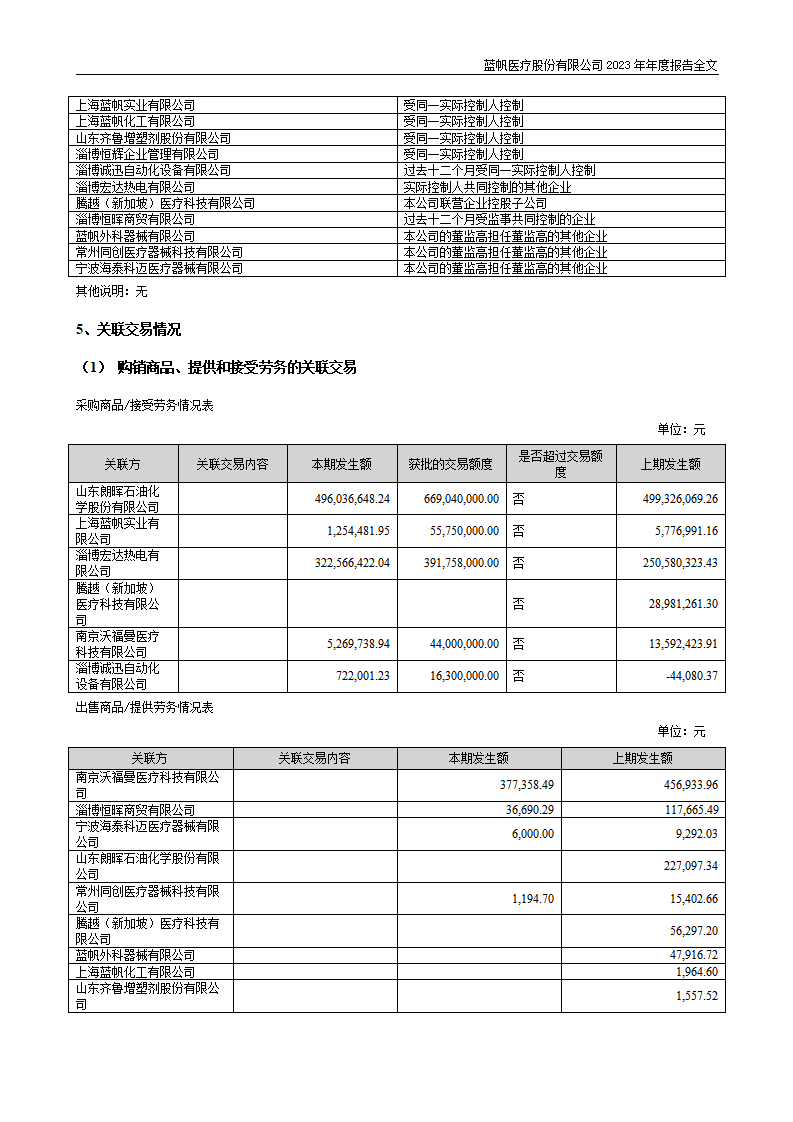 蓝帆医疗股份有限公司2023年年度报告_228