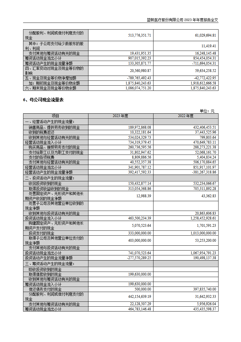 蓝帆医疗股份有限公司2023年年度报告_137