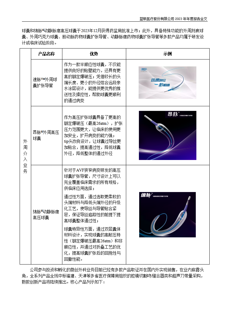 蓝帆医疗股份有限公司2023年年度报告_39