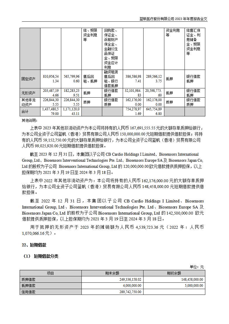 蓝帆医疗股份有限公司2023年年度报告_190