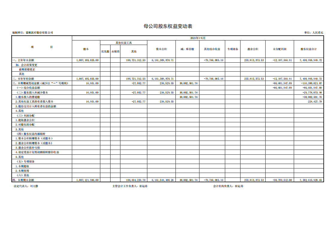蓝帆医疗：半年报财务报表_12