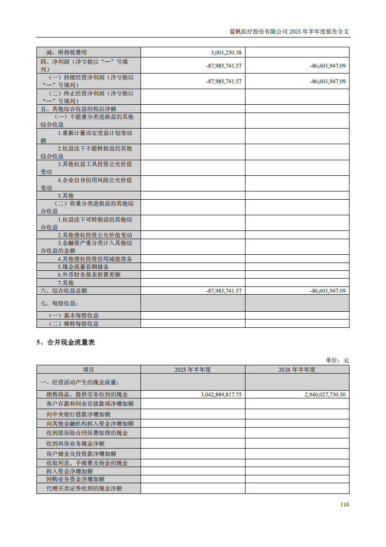 蓝帆医疗：2025年半年度报告_110