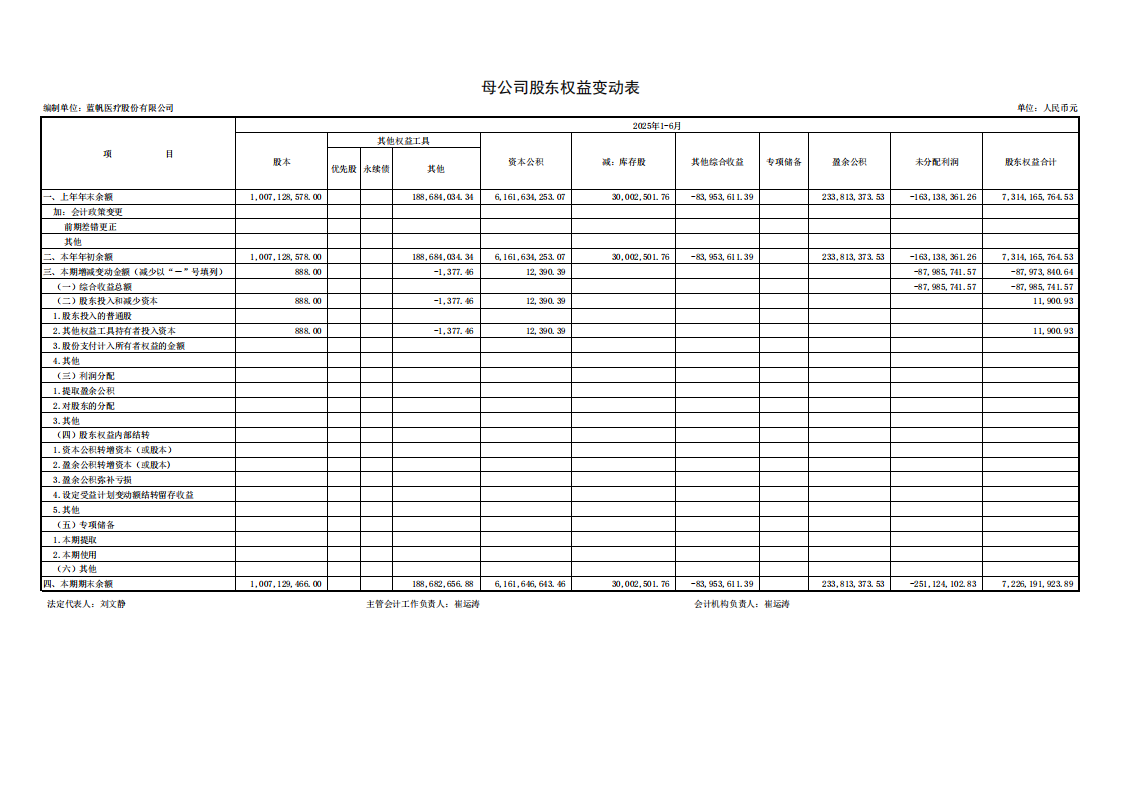 蓝帆医疗：半年报财务报表_11