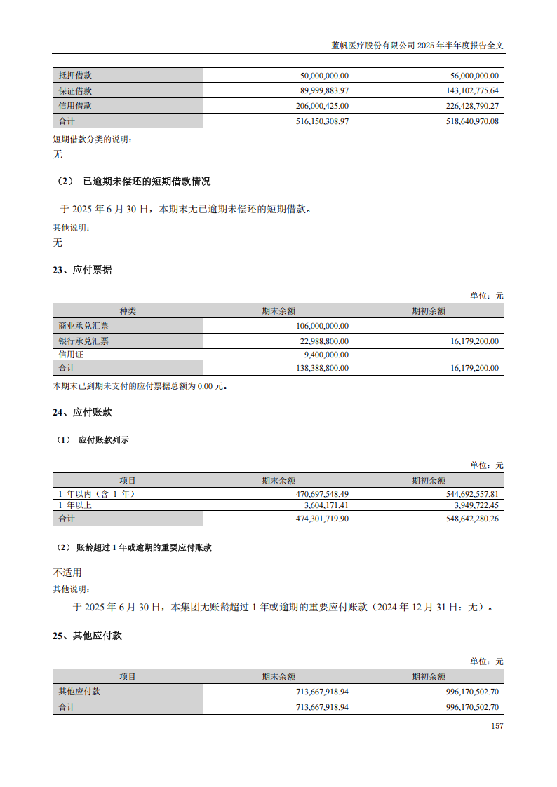 蓝帆医疗：2025年半年度报告_157
