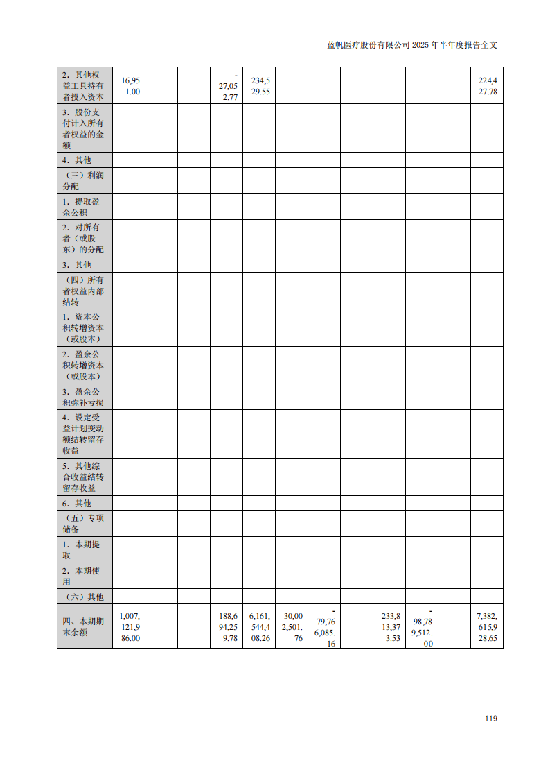 蓝帆医疗：2025年半年度报告_119