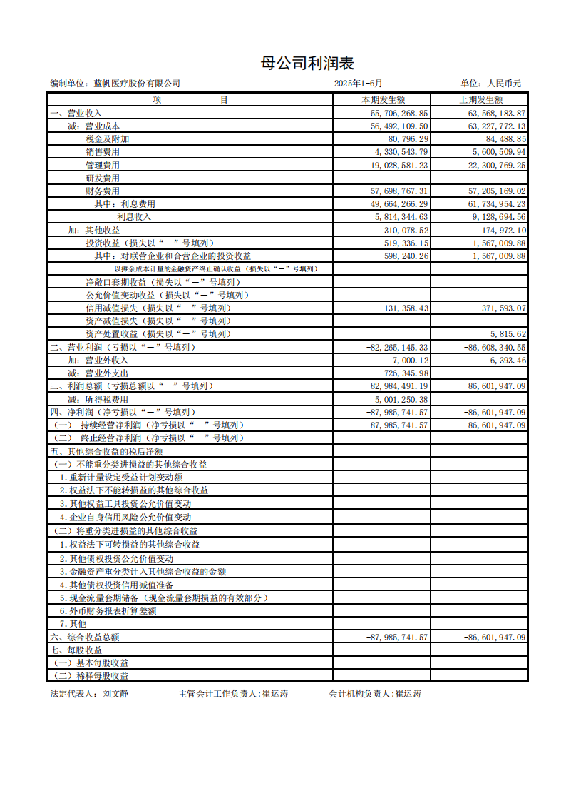 蓝帆医疗：半年报财务报表_09