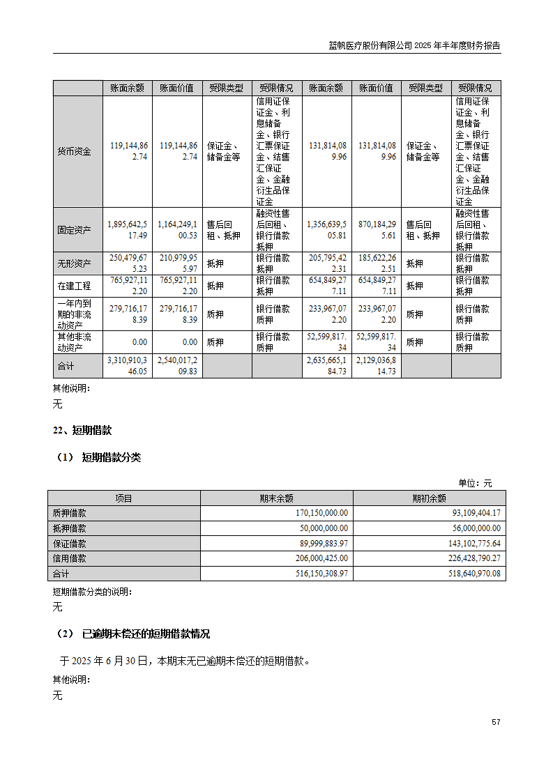 8-2025年半年度财务报告_57