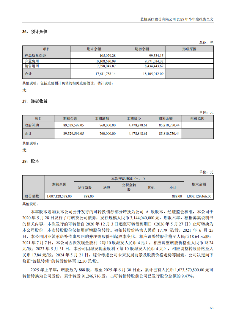 蓝帆医疗：2025年半年度报告_163