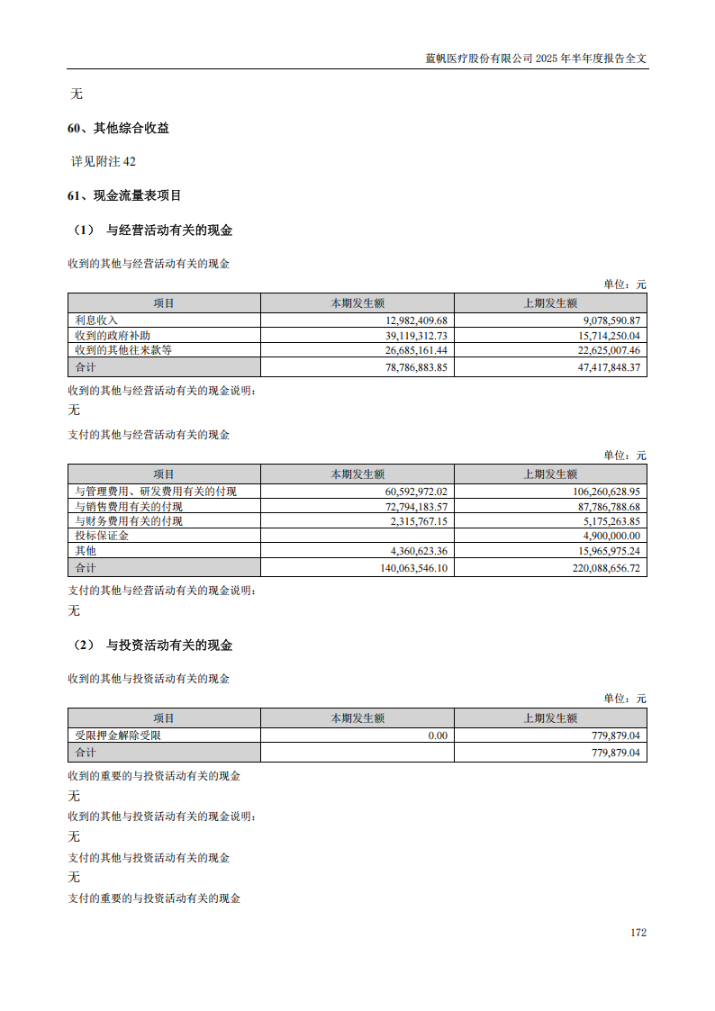 蓝帆医疗：2025年半年度报告_172