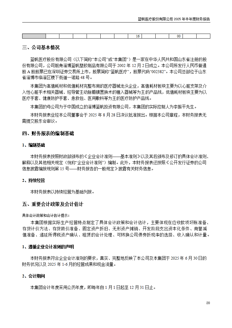 8-2025年半年度财务报告_20