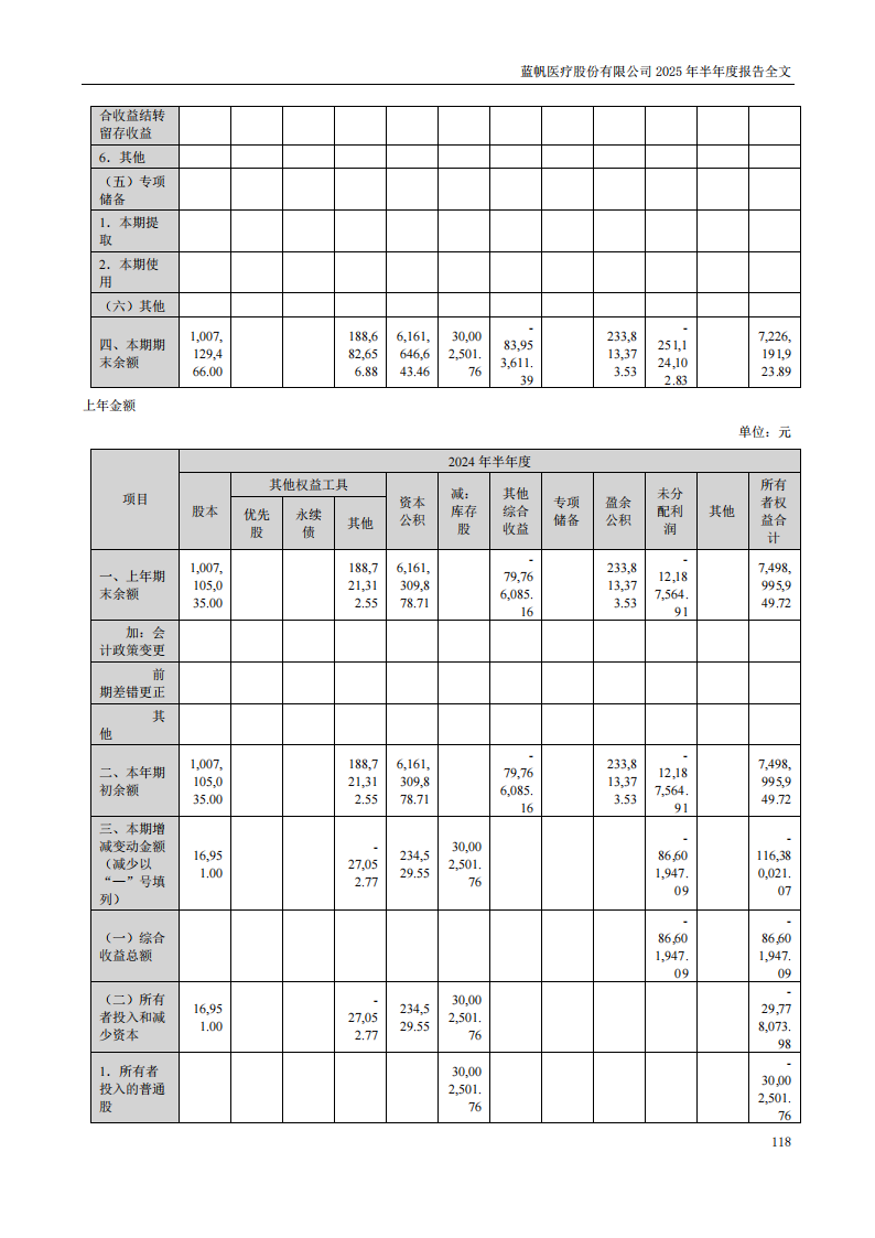 蓝帆医疗：2025年半年度报告_118
