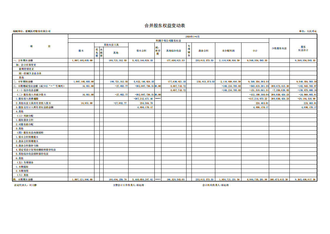 蓝帆医疗：半年报财务报表_06