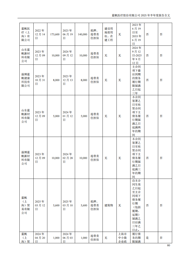 蓝帆医疗：2025年半年度报告_80