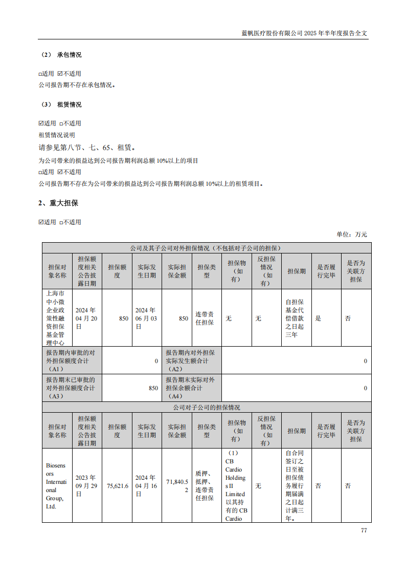 蓝帆医疗：2025年半年度报告_77