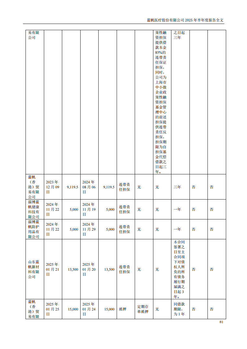蓝帆医疗：2025年半年度报告_81