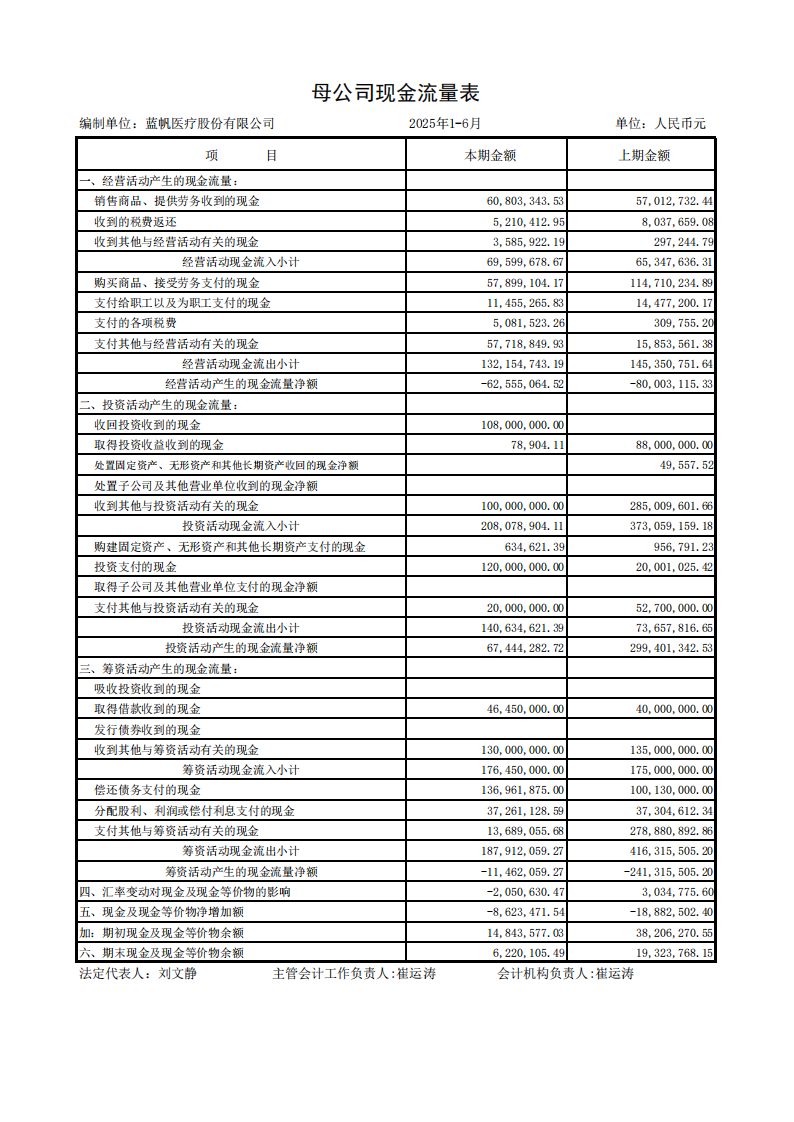 蓝帆医疗：半年报财务报表_10