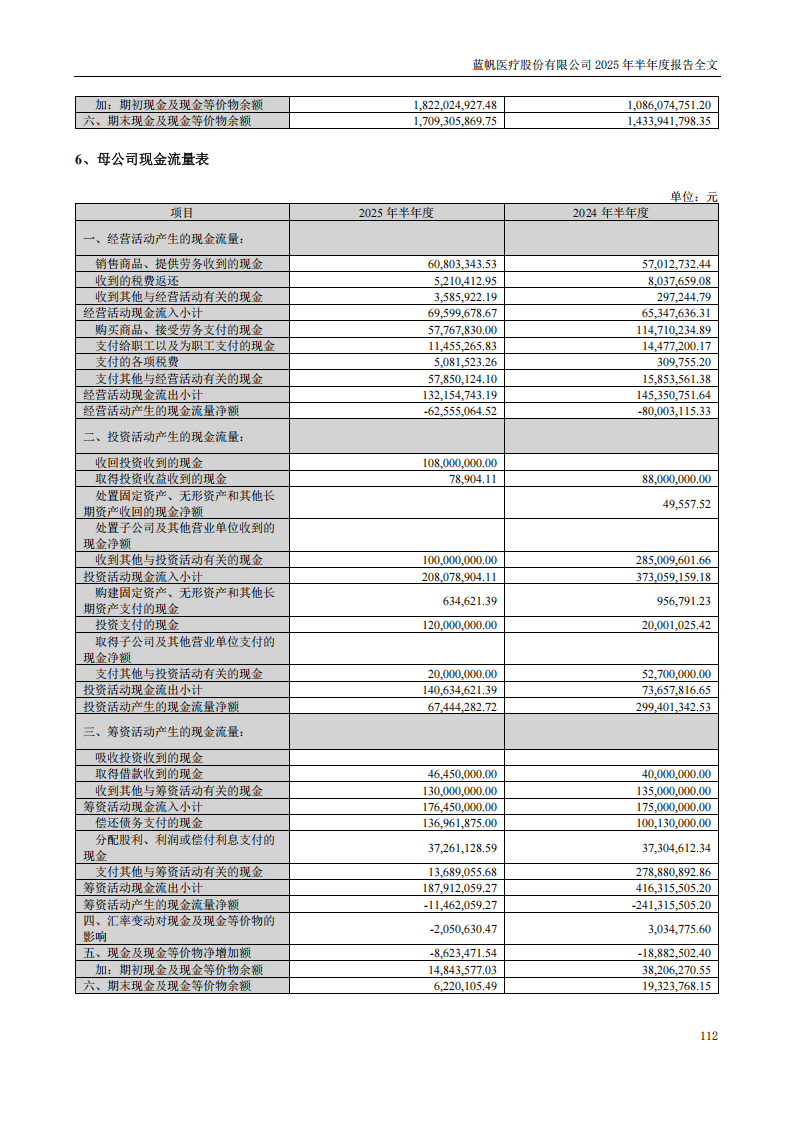 蓝帆医疗：2025年半年度报告_112