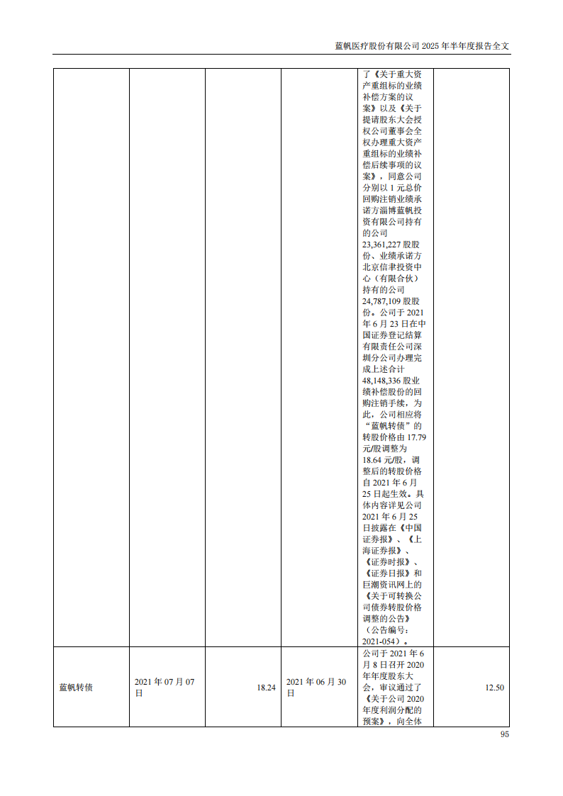 蓝帆医疗：2025年半年度报告_95