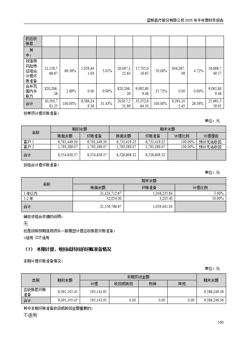 8-2025年半年度财务报告_100
